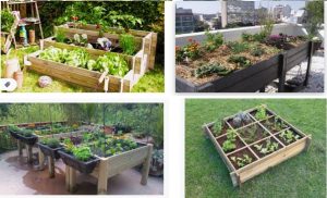 huerto urbano vintage