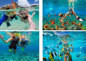 snorkel